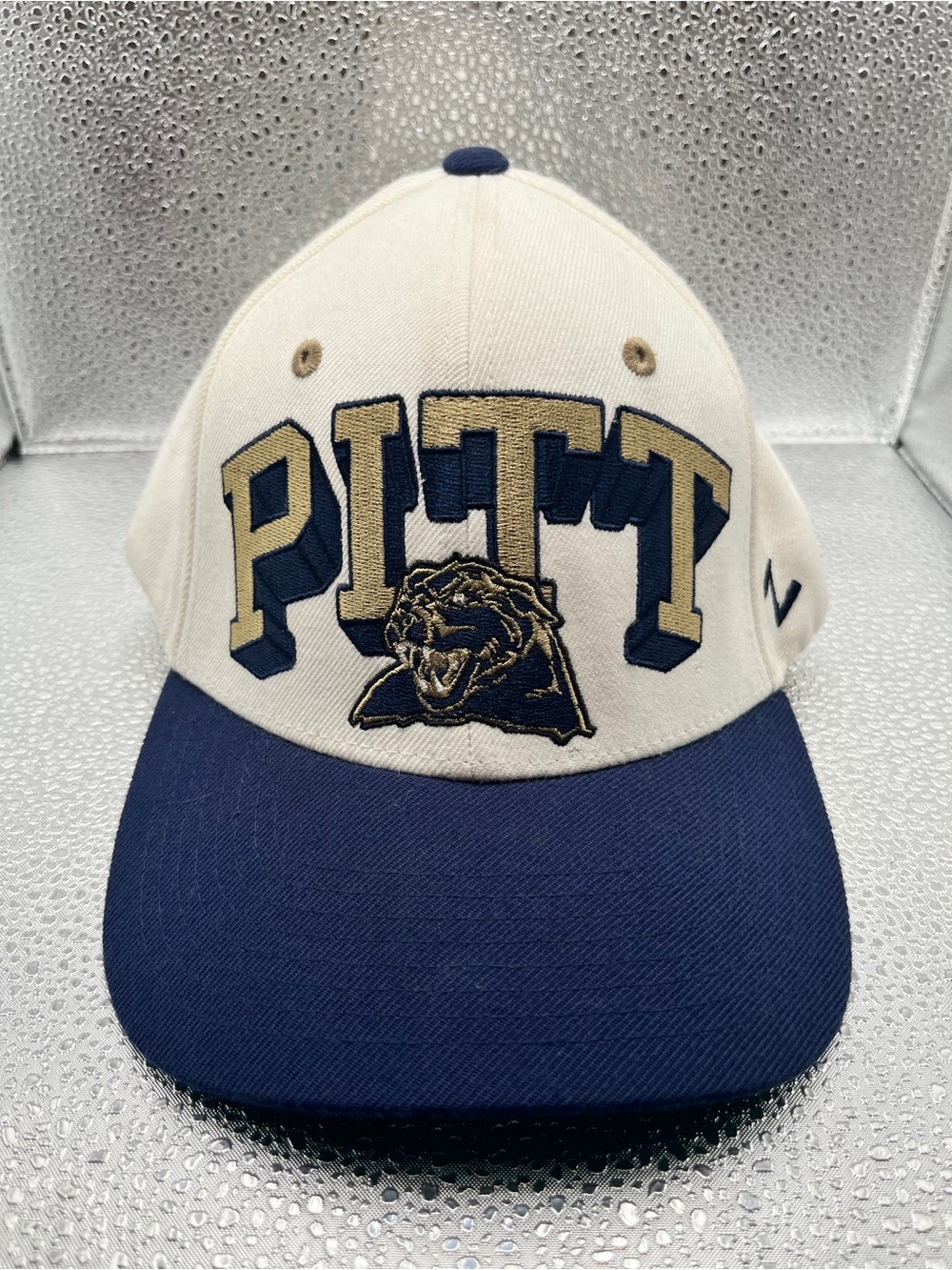 Vintage Zephyr 1990s PITT PANTHER SnapBack Hat